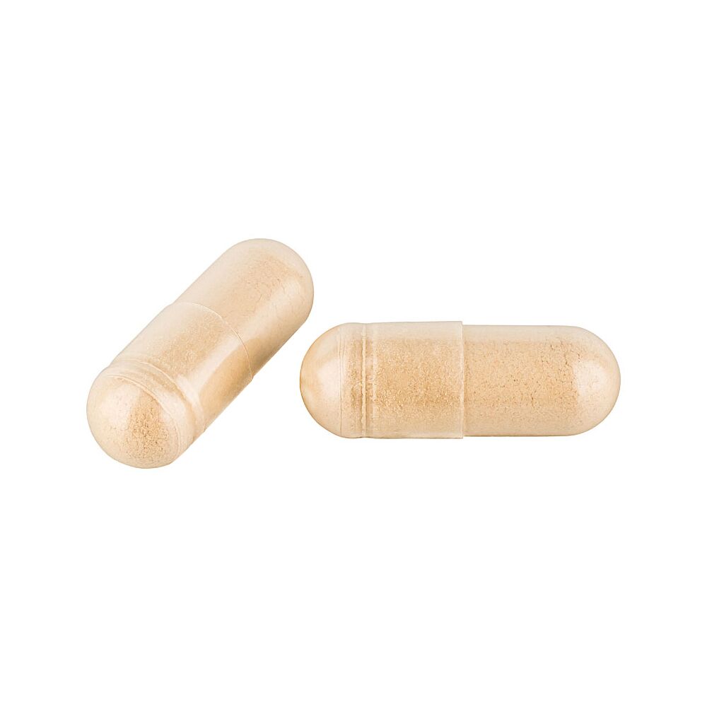 Maitake-Pulverkapseln-120er-Kapseln